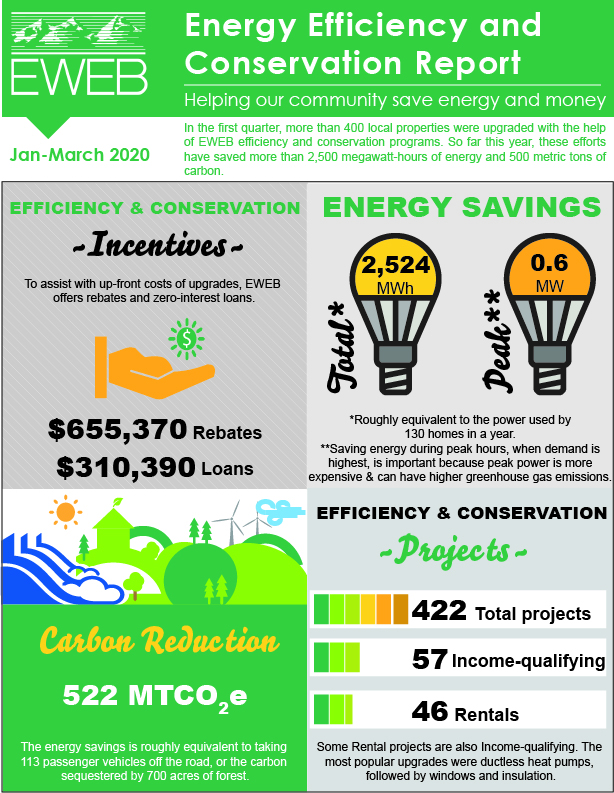 Energy Efficiency and Conservation Infographic