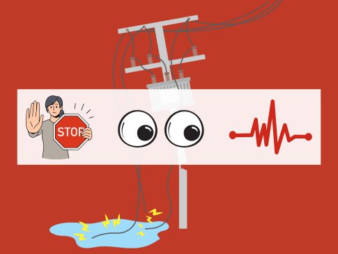 Graphic showing stop. observe. survive around downed power lines.