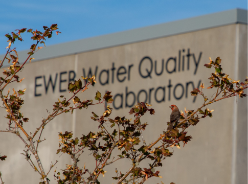 Exterior of EWEB's water quality laboratory with vegetation